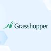 tr_20241223-grasshopper-business-checking-review.jpg